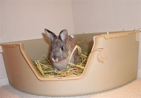 metal litter box bunny|bunny liter box.